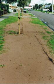 Photograph - CASTLEMAINE GAS COMPANY COLLECTION: PHOTO NATURE STRIP