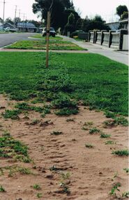 Photograph - CASTLEMAINE GAS COMPANY COLLECTION: PHOTO NATURE STRIP