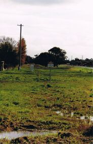 Photograph - CASTLEMAINE GAS COMPANY COLLECTION: PHOTO PADDOCK, 20/07/1999