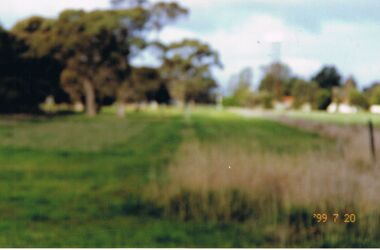 Photograph - CASTLEMAINE GAS COMPANY COLLECTION: PHOTO PADDOCK, 20/07/1999