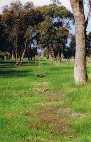 Photograph - CASTLEMAINE GAS COMPANY COLLECTION: PHOTO PADDOCK, 20/07/1999