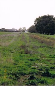 Photograph - CASTLEMAINE GAS COMPANY COLLECTION: PHOTO PADDOCK, 20/07/1999