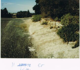 Photograph - CASTLEMAINE GAS COMPANY COLLECTION: PHOTO LILAC TREET