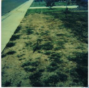 Photograph - CASTLEMAINE GAS COMPANY COLLECTION: PHOTO FOOTPATH