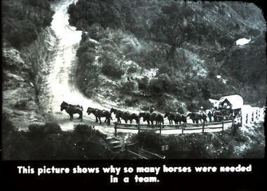 Slide - DIGGERS & MINING. DIGGERS AND MINERS, c1800s