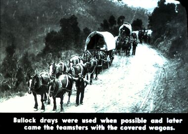 Slide - DIGGERS & MINING. DIGGERS AND MINERS, c1800s