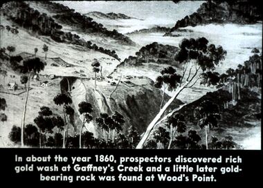 Slide - DIGGERS & MINING. DIGGERS AND MINERS, c1800s