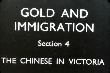 Slide - DIGGERS & MINING. GOLD AND IMMIGRATION, c1850s