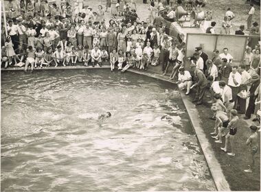 Photograph - BERT GRAHAM COLLECTION: BENDIGO EAST SWIMMING POOL