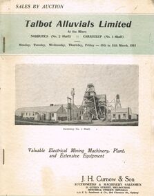 Document - IAN DYETT COLLECTION: AUCTION CATALOGUE - TALBOT ALLUVIALS LIMITED