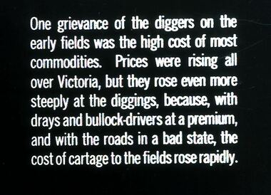 Slide - DIGGERS & MINING. STORES AT THE DIGGINGS, c1852