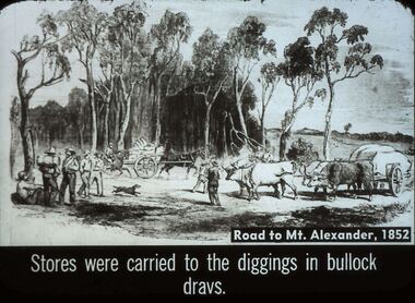 Slide - DIGGERS & MINING. STORES AT THE DIGGINGS, c1852