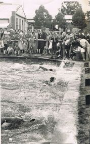 Photograph - BERT GRAHAM COLLECTION: BENDIGO EAST SWIMMING POOL