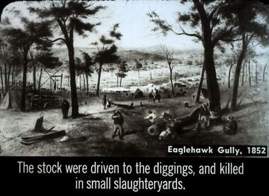 Slide - DIGGERS & MINING. STORES AT THE DIGGINGS, c1852