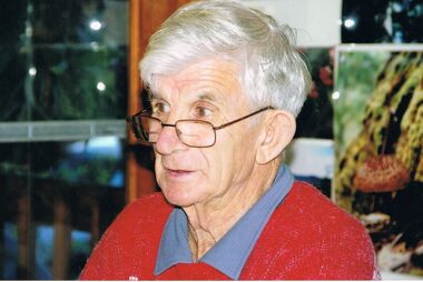 Photograph - PETER ELLIS COLLECTION: BERT GIBSON
