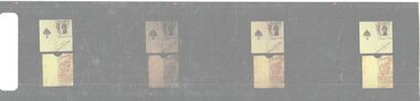 Negative - PETER ELLIS COLLECTION: NEGATIVES