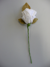 Ephemera - COTTON ROSE