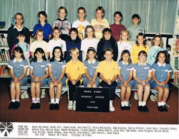 Photograph - MAPLE STREET PRIMARY SCHOOL COLLECTION:  GRADE 5/6D, 1991