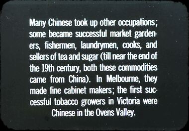 Slide - DIGGERS & MINING. THE CHINESE ON THE GOLD FIELDS