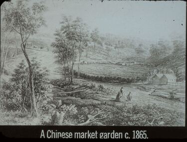 Slide - DIGGERS & MINING. THE CHINESE ON THE GOLD FIELDS, c1865