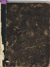 Book - GERMAN HERITAGE SOCIETY COLLECTION: ALBERT BOLDT'S DIARY