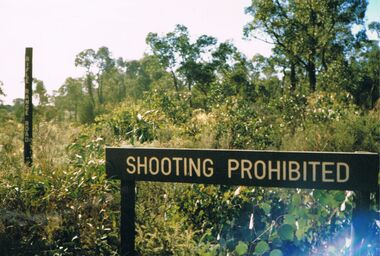 Photograph - PETER ELLIS COLLECTION: RIFLE RANGE ROAD