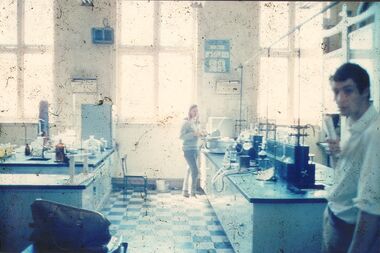 Photograph - PETER ELLIS COLLECTION: ANALYTICAL LAB
