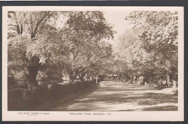 Photograph - ROSALIND PARK: BENDIGO