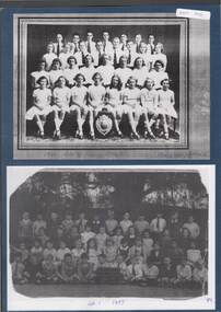 Photograph - GOLDEN SQUARE P.S. LAUREL ST. 1189 COLLECTION: PHOTO'S