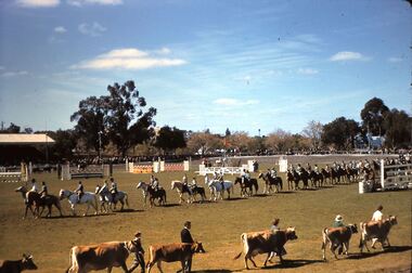 Slide - FLEMING COLLECTION: 1950S BENDIGO SLIDE, 1950s