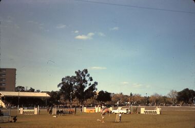 Slide - FLEMING COLLECTION: 1950S BENDIGO SLIDE, 1950s