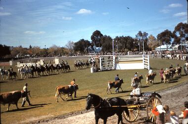 Slide - FLEMING COLLECTION: 1950S BENDIGO SLIDE, 1950s