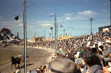 Slide - FLEMING COLLECTION: 1950S BENDIGO SLIDE, 1950s