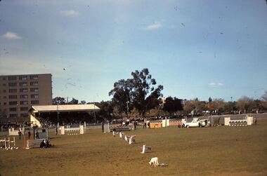 Slide - FLEMING COLLECTION: 1950S BENDIGO SLIDE