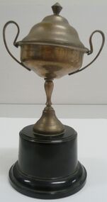 Award - GOLDEN SQUARE PRIMARY SCHOOL COLLECTION: PET COMPETITION CUP