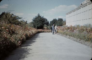 Slide - FLEMING COLLECTION: 1950S BENDIGO SLIDE, 6 March 1957