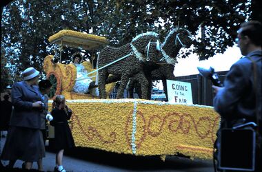 Slide - FLEMING COLLECTION: 1950S BENDIGO SLIDE