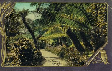 Postcard - RANDALL COLLECTION:  IN THE FERNERY, BENDIGO, 1915