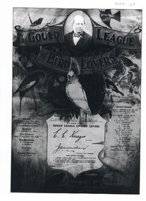 Photograph - GOLDEN SQUARE LAUREL STREET P.S. COLLECTION: GOULD LEAGUE CERTIFICATE