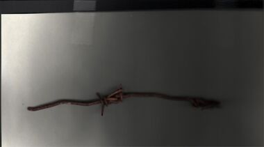 Memorabilia - ABBOTT COLLECTION:  BARB WIRE