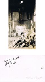 Photograph - BILL ASHMAN COLLECTION: COHUNA BUTTER FACTORY