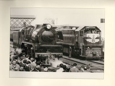 Photograph - BENDIGO LOCOMOTIVE