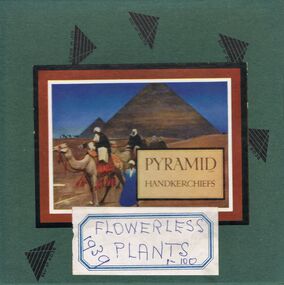 Newspaper - LYDIA CHANCELLOR COLLECTION: FLOWERLESS PLANTS