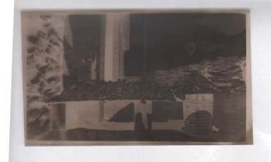 Negative - BILL ASHMAN COLLECTION: CHIP LIKE MATERIAL
