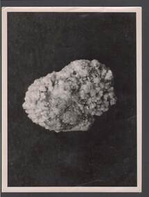 Photograph - BILL ASHMAN COLLECTION: KIDNEY STONE