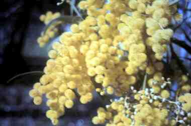 Slide - RALPH BIRRELL COLLECTION: EIG SCHOOL, c1966