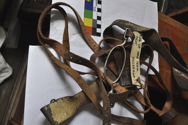 Leisure object - TUG OF WAR HARNESS