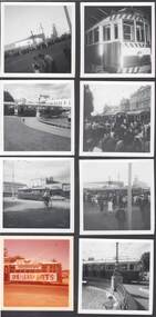 Photograph - BENDIGO TRAMS