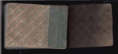 Book - ANCIENT ORDER OF FORESTERS NO. 3770 COLLECTION: CHEQUE BOOK STUBS, 1869