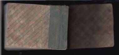 Book - ANCIENT ORDER OF FORESTERS NO. 3770 COLLECTION: CHEQUE BOOK STUBS, 1869